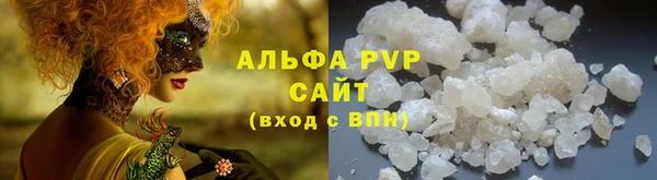 прущие грибы Армянск