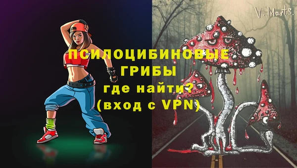 спиды Алексин