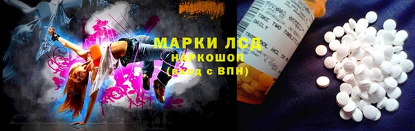 прущие грибы Армянск