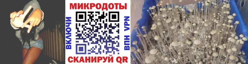 Купить где  Ухта  Псилоцибиновые грибы MAGIC MUSHROOMS 